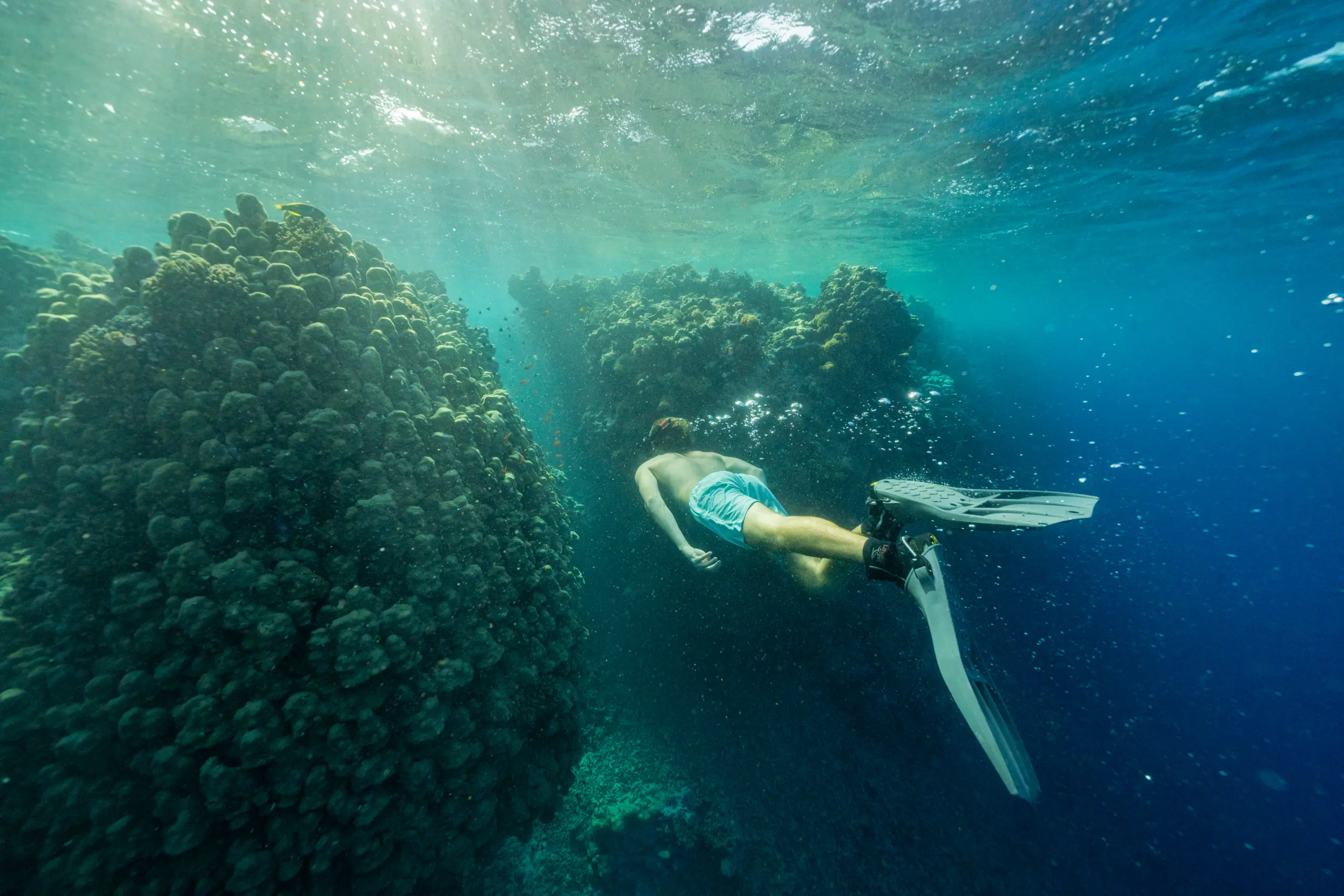 A man snorkelling in the Red Sea