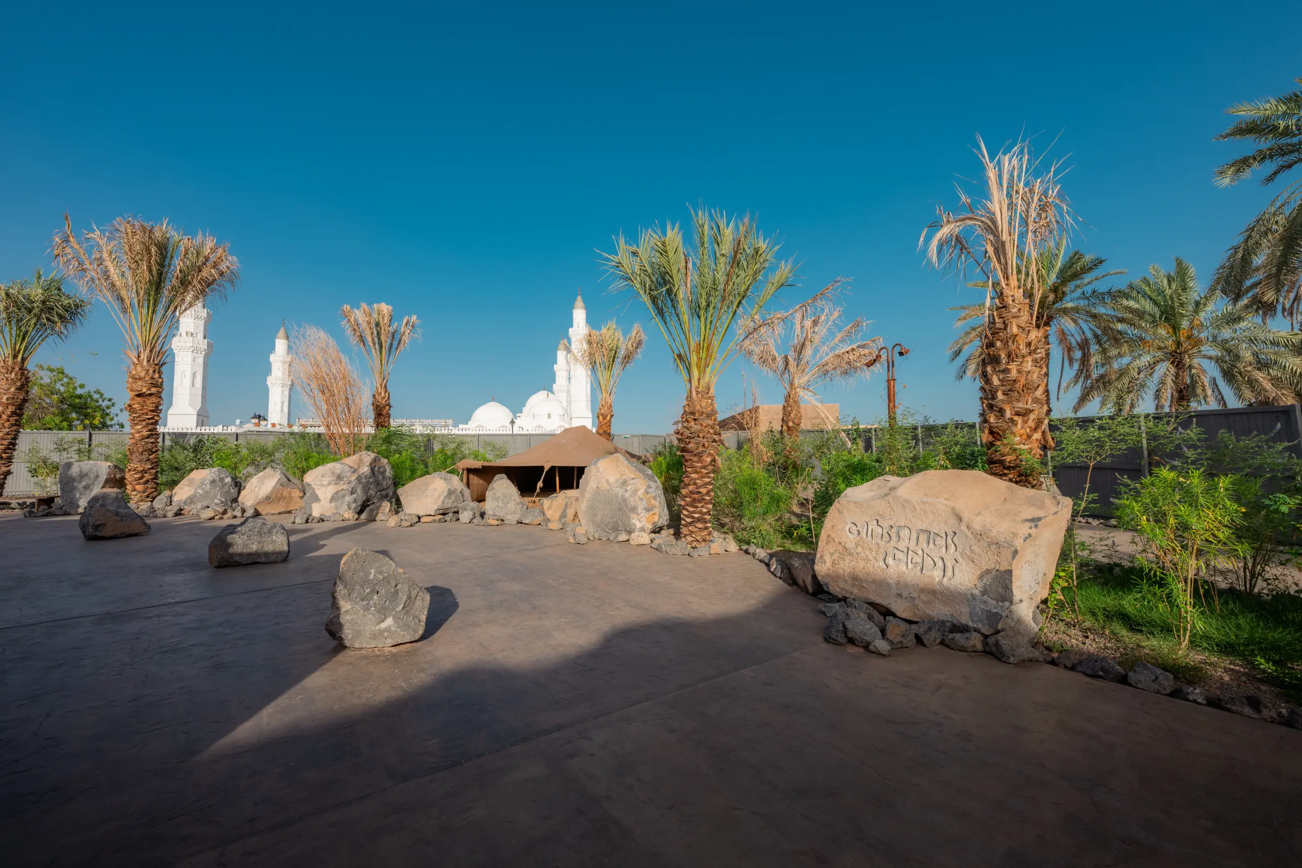 Palm trees with Quba Mosque in the background, Madinah